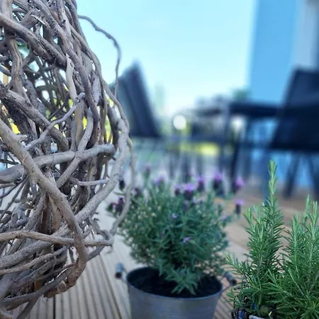 Seemann Im Gruenen * Walsrode