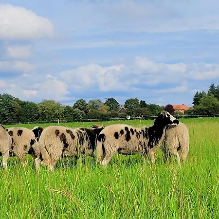 Seemann Im Gruenen *