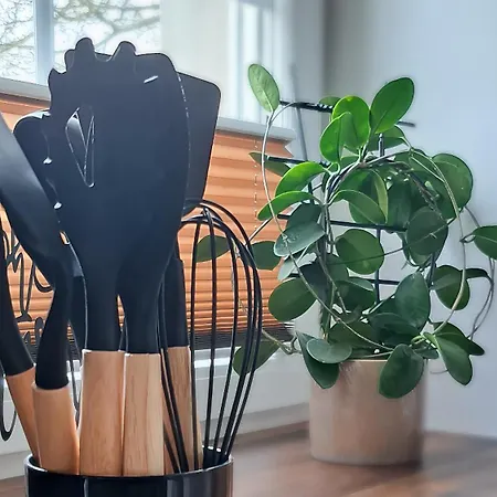 Apartamento Seemann Im Grünen *