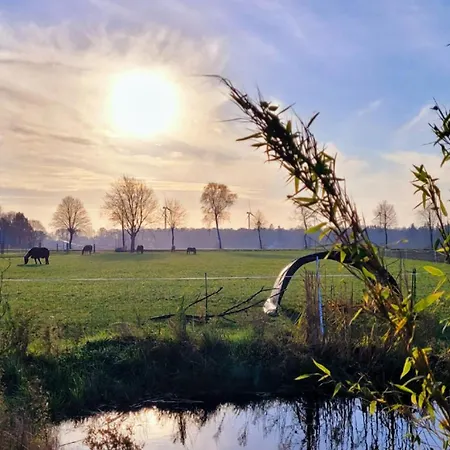 Seemann Im Grünen *