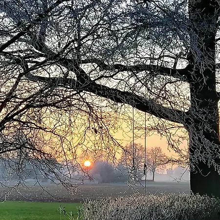 Daire Seemann Im Gruenen
